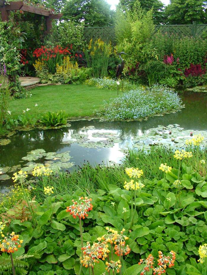 garden-pond-plantings.jpg